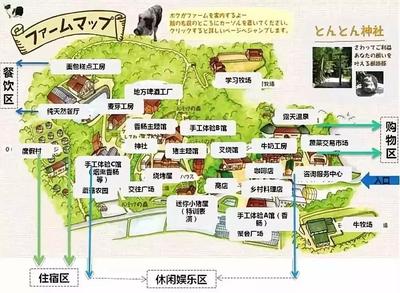 50万人排队赏猪 国外亲子农场如何凭餐饮服务玩成全民打卡地？